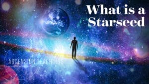 Ascension Teachings Season 3 [Episode 3]