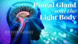 Ascension Teachings Season 3 [Episode 1]